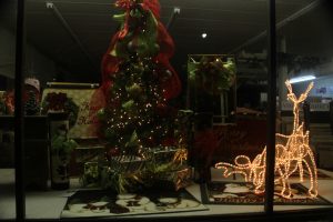 2012-1225-christmas-cards-lights-by-dennis-pittman-171